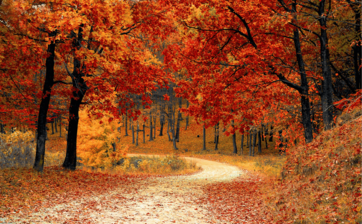 Otoño Mágico Valle del Ambroz